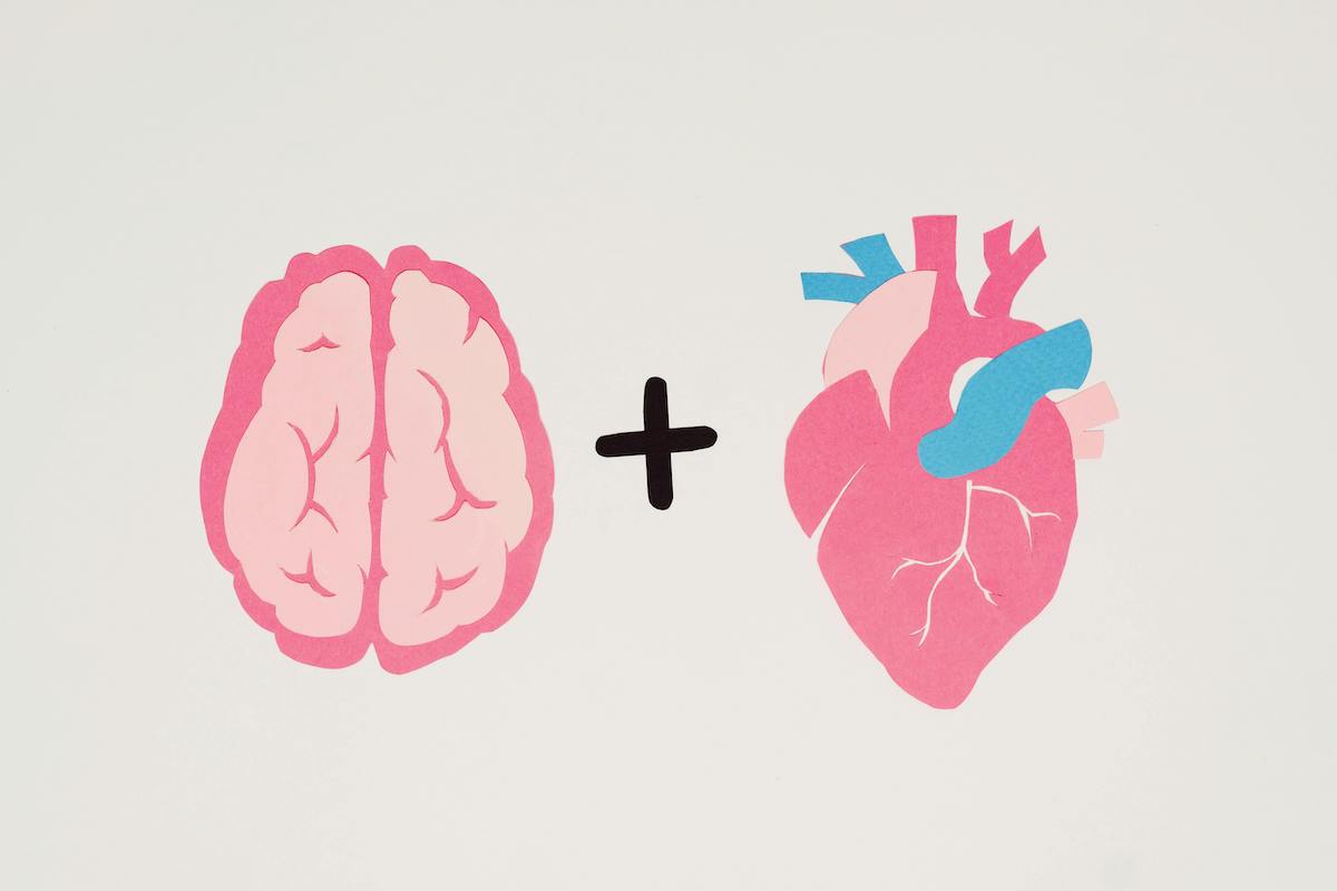 How Molecular Hydrogen Benefits Your Heart and Brain: The Science Explained